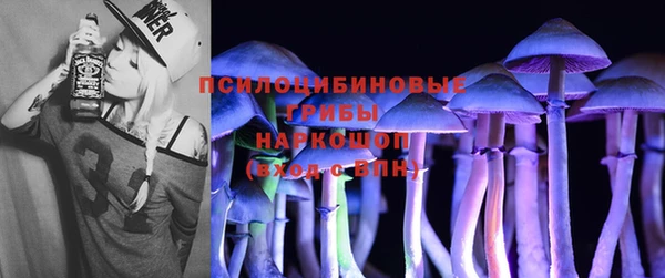 хмурый Заводоуковск