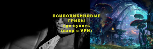хмурый Заводоуковск