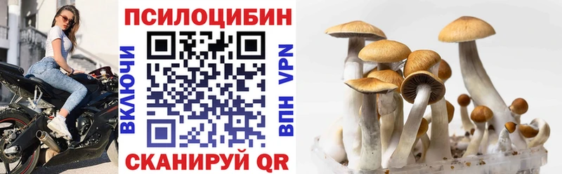 Псилоцибиновые грибы Psilocybine cubensis Северо-Курильск